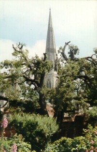 Chichester Cathedral (27K)