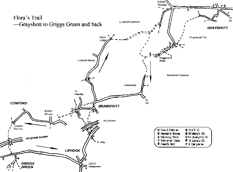 Map of Flora's Walk (90K)
