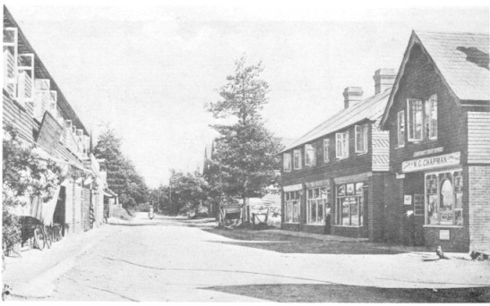 Crossways Road (49K)